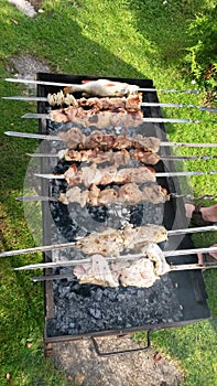 Man is frying meet in garden. Food on skewer, grill, barbecue