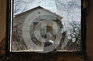 Man in garden window net