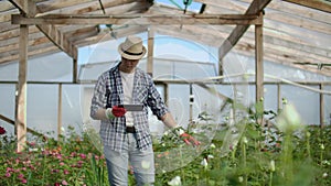 Man gardener in a hat looking for flowers. A modern florist uses a tablet computer to analyze the yield of flowers.