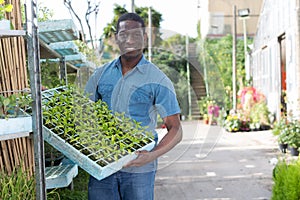 Man gardener with seedling crate