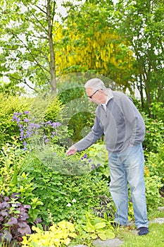 Man gardening in his garden