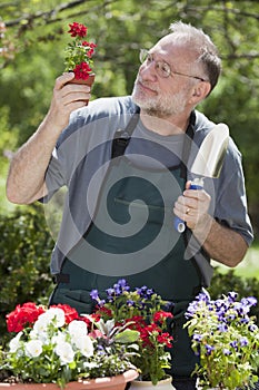 Man Gardening Outdoors