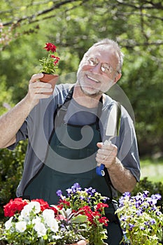 Man Gardening Outdoors