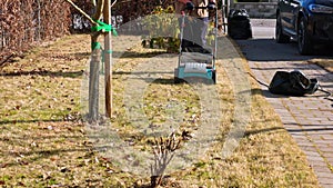 Man gathering old dry grass in the garden using an electric lawn aerator on a spring day.