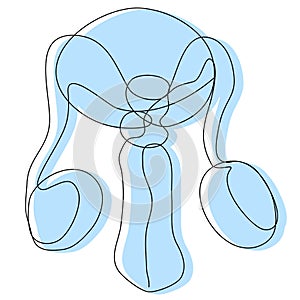 Man Genital organs in one line with a blue silhouette on a white background.