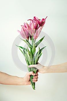 Man gives flowers to woman. Male and female hand holding bouquet on white background