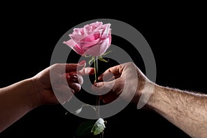 Man gives a rose to a girl. Relationship between man and woman. First date. Basics of relationships. Pink rose as a gift