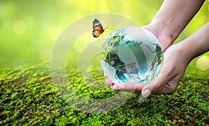 A man with a glass globe Concept day earth Save the world save environment The world is in the grass of the green bokeh background