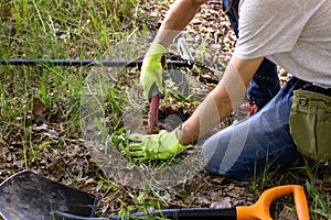 a man in gloves is looking for a treasure in the ground with the help of a pinpointer in the spring forest.