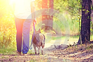 A man going with a dog in the forest