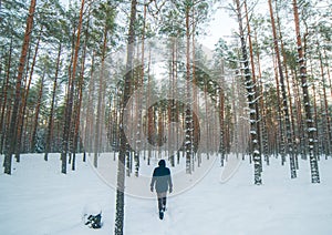 Man going through wooden forest in winter