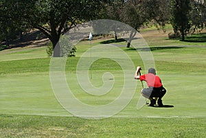 Man Golfing