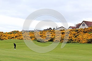 A man golfing with an incredible view of a golf hole in Scotland with the ocean in the background in Dornoch