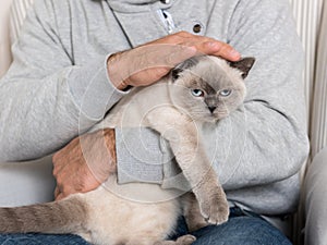 Man and gorgeous pet cat