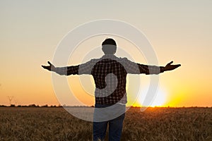 Man grateful for the harvest raised his hands up in the field