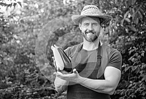 man greengrocer presenting eggplant and vegetable marrow