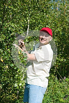 Man in a grove do birch besoms