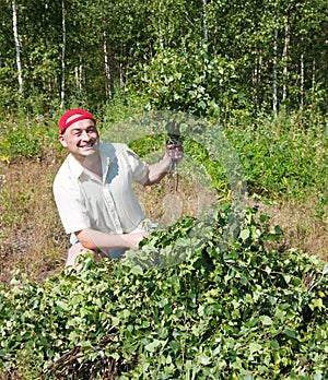 Man in a grove do birch besoms