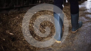 Man in gumboots walking along cowshed on farm