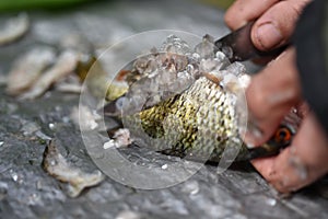 Man gut and clean a fish