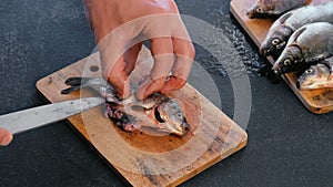 Man gutting a carp fish. Cooking fish. Hands close-up.