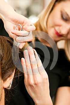 Man at the hairdresser