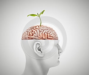 Man with half head and a brain with a small plant on it