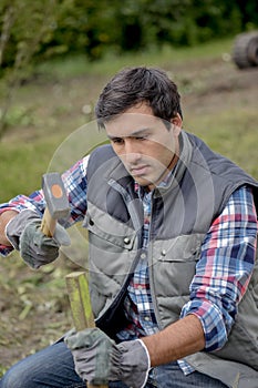 Man hammering wooden stake into ground