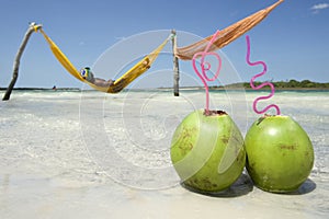 Man in Hammock Brazilian Beach with Coconuts