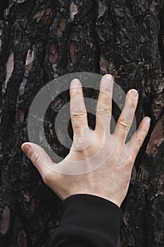 Man hand on a burned tree trunk