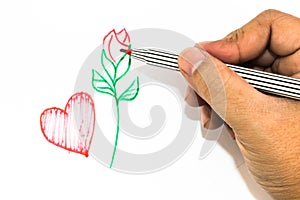 Man hand is drawing the red heart sign and green handle rose on