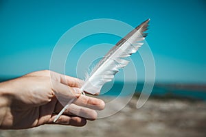 Man hand feather on the  sea background.