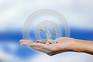 Man hand gesture open up holding stack coins on palm with sapling on clouds sky background. Conceptual saving, investment, growing