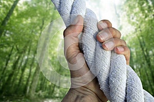 Man hand grab grip climbing green forest rope photo