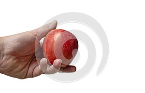 Man hand hold one red apple fruit on isolated white background
