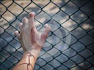 Man hand holding on chain link fence to remember Human Rights Da