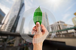 Man hand holding green leaf on blurred city background