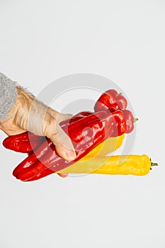 Man hand holding red and yellow fresh long peppers