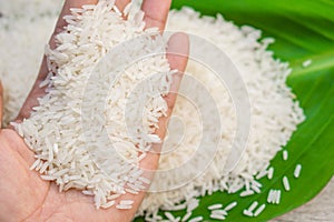 Man hand holding rice on green leaf top view background with copy space