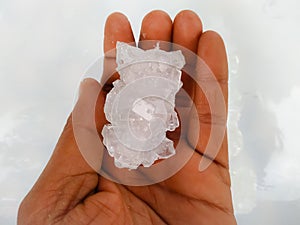 Man hand holding white sugar candy  on white background