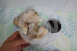 man hand holds oyster mushrooms to grow them in coffee indoors. mushroom propagation