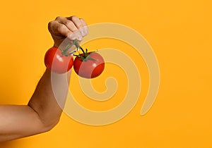 Man hand holds tomato, is isolated on a yellow background