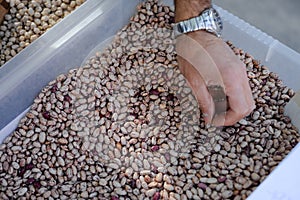 Man hand picking beans on market stall container