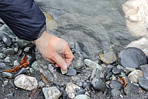 Man hand picking up stones from the river beach