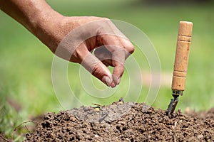 Man hand planting seed in soil and save wold concept photo