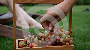 man hand take a grape background of woman barefoot legs on grass