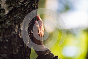 Man hand touch the tree trunk close-up. Bark wood.Caring for the environment. The ecology the concept of saving the