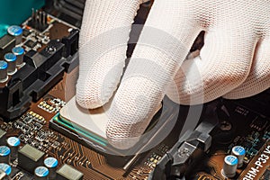 Man hand in white antistatic gloves installing computer processor photo