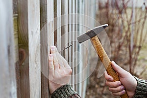 Man hands drive nail with a hammer in wooden fence