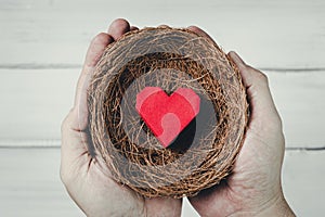 Man Hands Hold Red Paper Heart in bird nest on white wood background. Protect Love or Health Concept